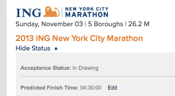 marathon NYC marathon training